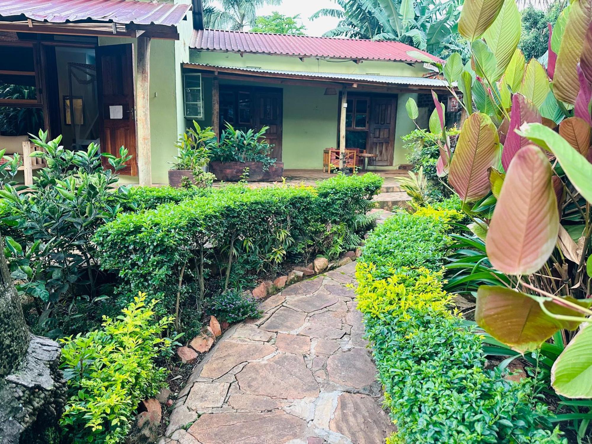Afro Smile Hotel & Guest House جينجا المظهر الخارجي الصورة