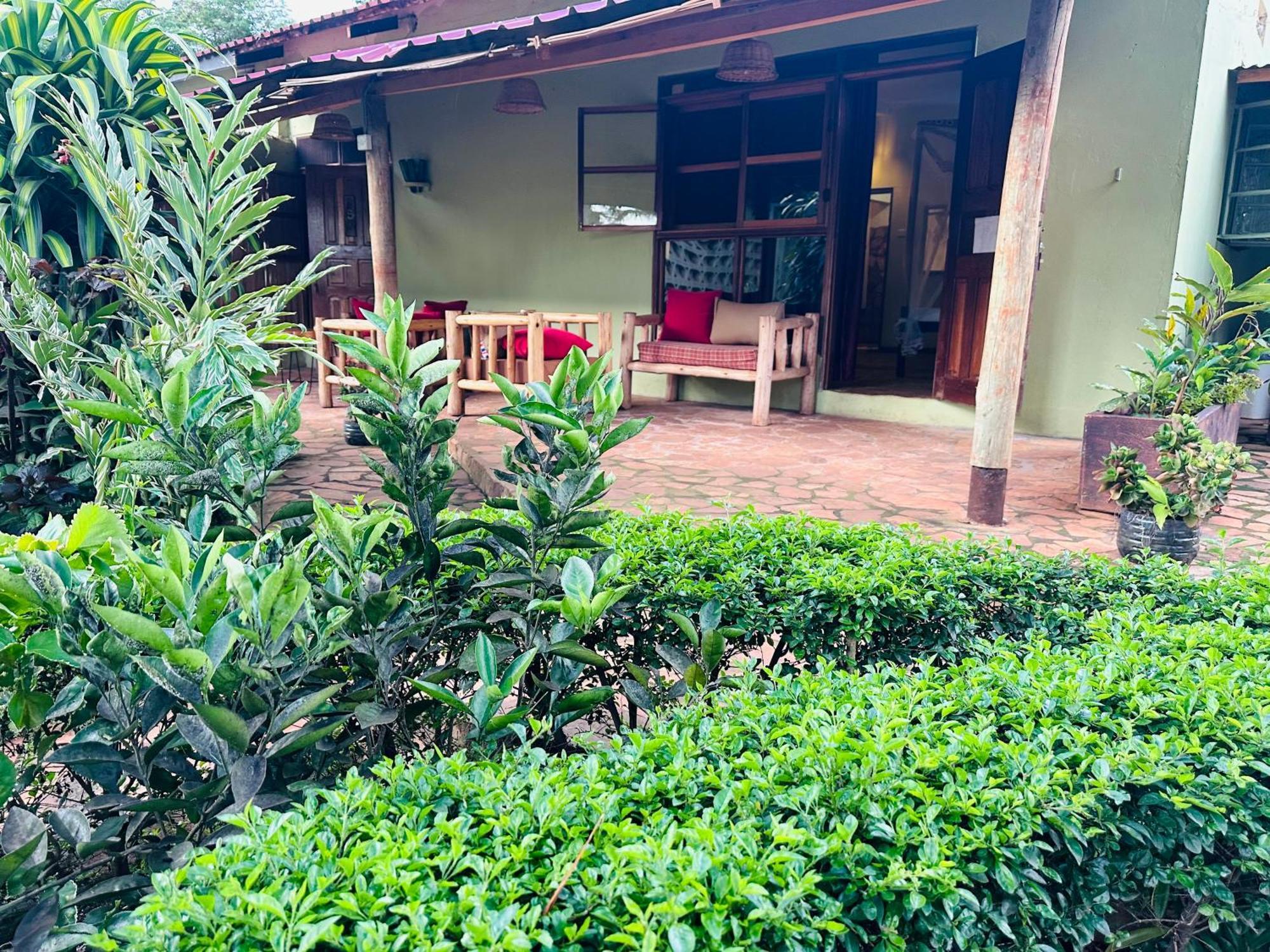 Afro Smile Hotel & Guest House جينجا المظهر الخارجي الصورة